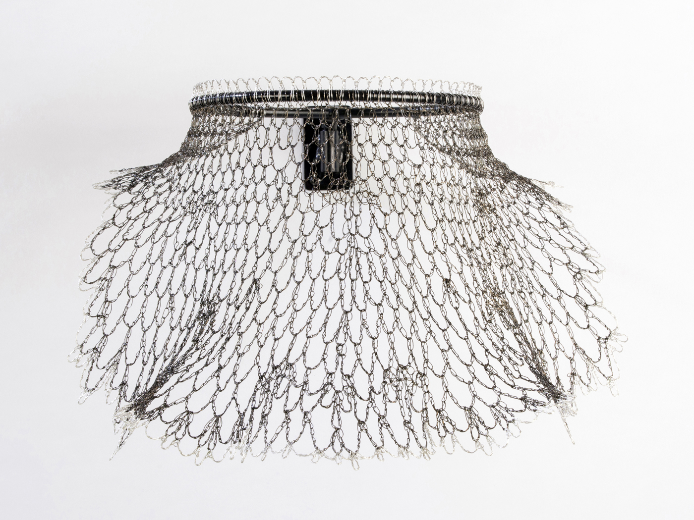 Collared (Wing) view 2